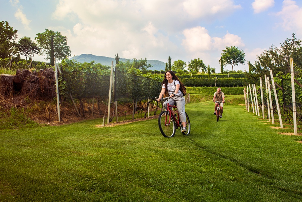 Bike&Wine - Vallée de Muggio